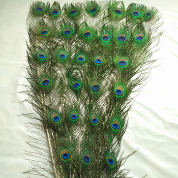 孔雀翎尾家居饰品真孔雀羽毛摆件孔雀毛花瓶装饰凤凰羽毛708090100