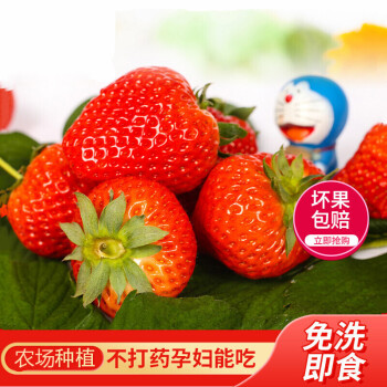 斯可沁品牌|99红颜奶油草莓价格走势、销量趋势分析与评测