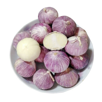 云南大理紫皮独头蒜 新鲜红皮大蒜头干鲜蒜 大果(果径2.8cm-3.
