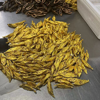 hywlkj湘潭青果槟榔锡纸包裹精致槟榔独立包装散装槟榔休闲食品 品质