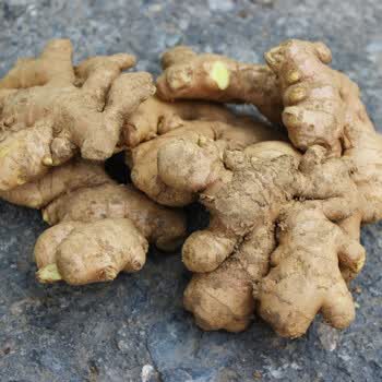 味巴哥(mostdelicious)河南博爱老生姜新鲜清化3斤装小黄姜农家女性姜