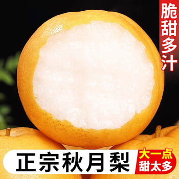 菲农秋月梨 2.5kg 6-8枚 精选冰糖雪梨秋月梨水果