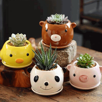 世纪奥桥多肉花盆肉肉盆栽可爱卡通植物花盆拇指盆个性创意陶瓷室内花盆盆景鸭子 不含植物 图片价格品牌报价 京东