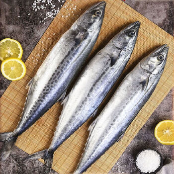 5-2斤/条】特大燕尾鲅 1g 净重无冰