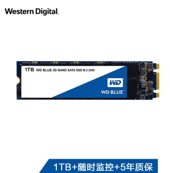 Western Digital 西部数据 BLUE WDS100T2B0B 1TB M.2 2280 SSD 固态硬盘