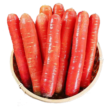 四川红胡萝卜沙新鲜小红皮红心萝卜沙地脆甜水果红萝卜新鲜蔬菜9斤