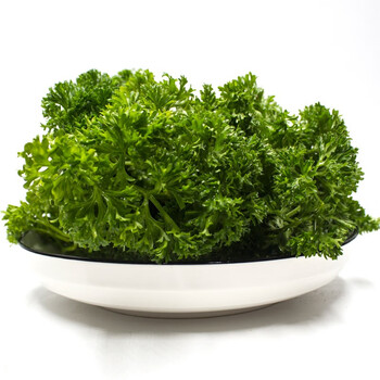 新鲜番西法国香芹荷兰欧芹西洋芹摆盘装饰用品1/2斤新鲜蕃西蔬菜 2