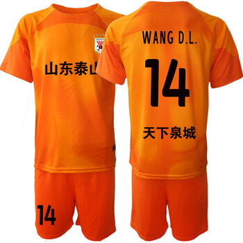 墨瑶山东泰山守门员14号王大雷球衣鲁能门将23赛季五星中超个性定制