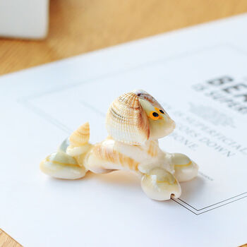 贝壳工艺品摆件家里的装饰品摆件五个装贝壳工艺品小乌龟装饰品小动物