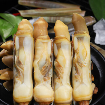 蛏子鲜活蛏子肉超大竹蛏子新鲜现剥海鲜水产海捕海圣子特大蛏子王1000