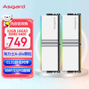 阿斯加特（Asgard）32GB(16Gx2)套 DDR5 6400 台式机内存条 RGB灯条-女武神·瓦尔基里【C32】