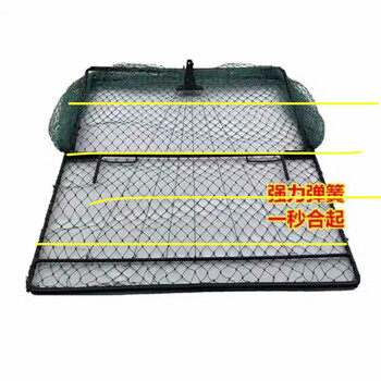 审核抓天落鸽子笼笼四面埋伏只进不出撞门笼捕神器野外捕养鸽笼鸟笼