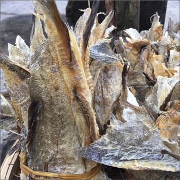京濮飞1份500克拍柴鱼皮农家自晒柴鱼皮明太鱼皮鱼皮干货鱼皮皮干货
