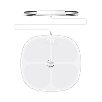 电子体重秤十大品牌2023排行榜（家用人体秤十大名牌）