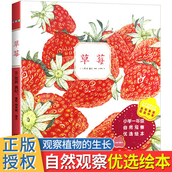 优选绘本精装硬壳读物少幼儿园宝宝启蒙早教睡前故事图画书345一草莓