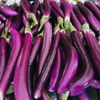 新鲜蔬菜细茄子福建漳州产地直销新鲜茄子鲜嫩红线茄细茄子批发3斤