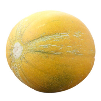 甜瓜内蒙古巴盟特产河套华莱士香瓜新鲜农家现摘应季水果 5斤精选