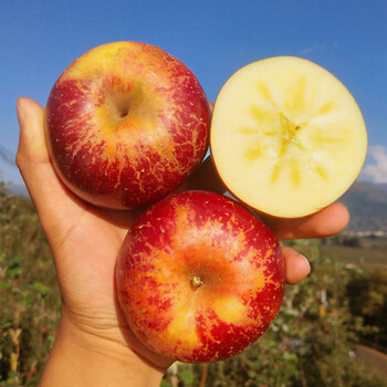 四川丑苹果冰糖心大凉山盐源新鲜现摘整箱当季水果野生苹果  5斤精选