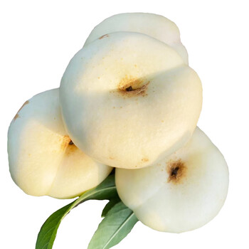 奶油白蟠桃 新鲜水果当季整箱桃子 孕妇水果蒙阴甜扁油蟠桃 1000g