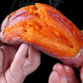 玛莎莉西瓜红蜜薯苗秧烟薯25号板栗薯紫薯水果红薯哈密泰紫黑美人 烟