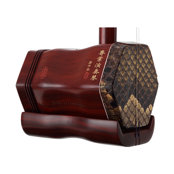 二胡哪个品牌性价比高（二胡有什么牌子值得选购）