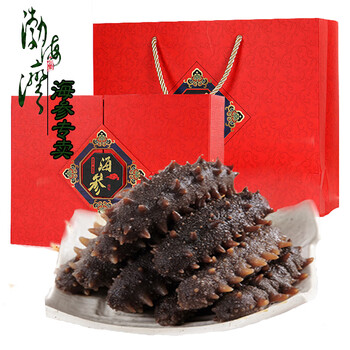 北戴河产秦皇岛即食海参秦连海参500g礼盒特产海参单个装 8--10只即食