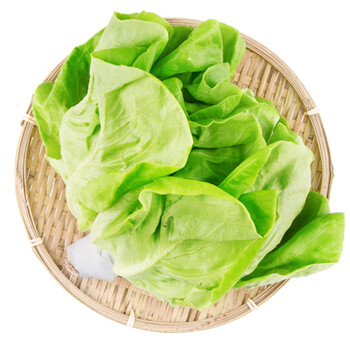每日优鲜 水培波士顿奶油生菜 120g*1袋