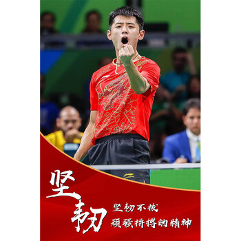 球运动员球室海报体育马龙许昕陈梦孙颖莎墙贴纸装饰挂 灰色 6张继科