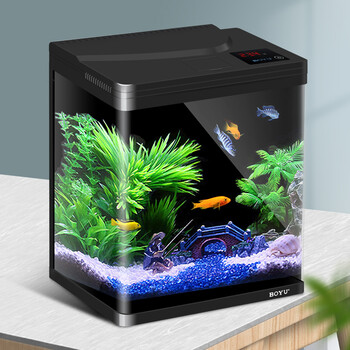 【多仓发货】博宇生态金鱼缸变色水族箱客厅小型迷你造景水草灯乌龟缸