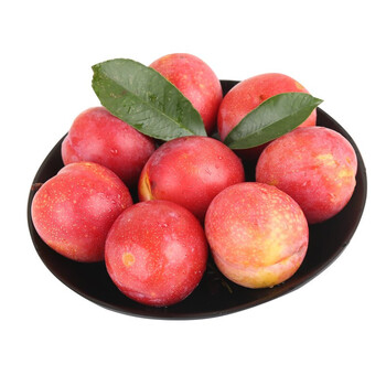 珠宝李5斤大果新鲜孕妇优质精品水果当季红布林红皮黄心李子2斤尝鲜装