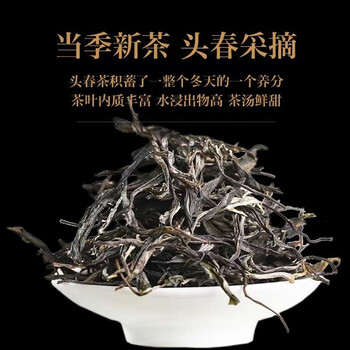 滇南记冰岛早春普洱生茶云南生普洱茶古树普尔春茶新茶散茶叶2024年  买一次喝半年1000克装