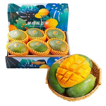 青尊园四川攀枝花凯特芒果礼盒新鲜现摘青皮芒果当季孕妇水果9斤匠心