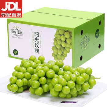 怎么查葡萄提子历史价格|葡萄提子价格走势图