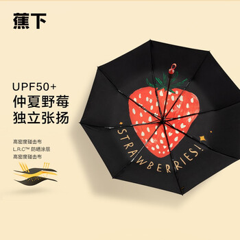 今日好价：海鸥飞行员手表