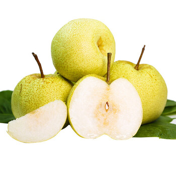 砀山梨 正宗新鲜脆甜多汁水果梨子 10斤现摘安徽当季酥梨大果雪梨 5