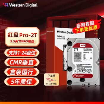 西部数据（WD） 红盘 PRO2T4T6T8T10T12T14TB SATA3 网络储存服务器 NAS硬盘机械硬盘 2TB PRO(WD2002FFSX)