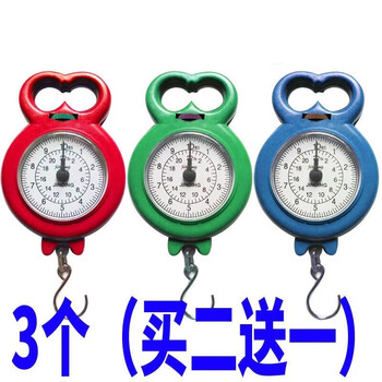 迷你称重手提秤便携式高精度家用快递称小秤弹簧秤学生教学机械秤罕枫