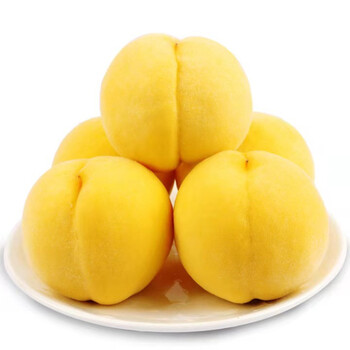 裕丰良园 山东蒙阴黄桃礼盒装 精品锦绣黄桃4.