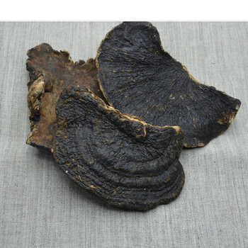 伟博 正宗野生薄树芝薄盖灵芝香芝野生灵芝林芝干品250克可切片