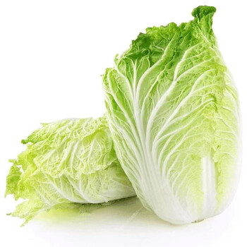 鲜极美东北大白菜5斤10斤新鲜蔬菜农家菜黄心鲜嫩小白菜现摘青菜整颗