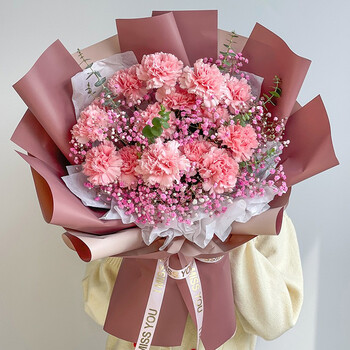 19朵粉色康乃馨-c款【图片 价格 品牌 报价】-京东