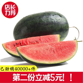 稀有藏品有惊人的价格走势，不容错过