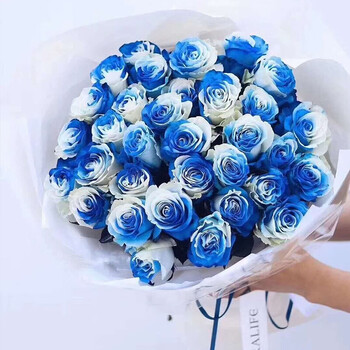 鲜花 同城配送进口厄瓜多尔蓝白双色玫瑰高端花束生日礼物纪念日告白
