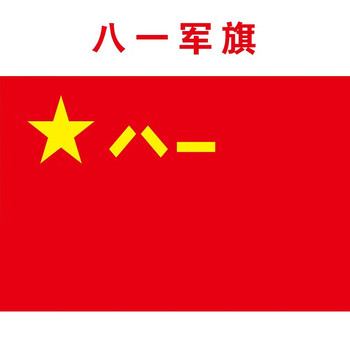 南山驹 海陆空军八一军旗消防救援旗党员突击队志愿者先锋队中   八一