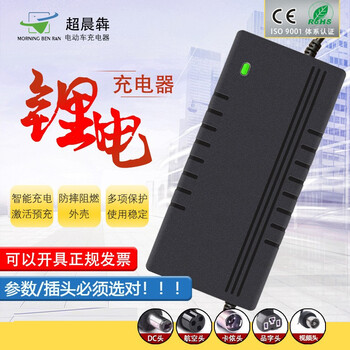 电动车电瓶车锂电池充电器12v24v36v48v60v72v 【插头5种往下拉选】