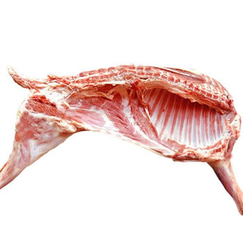 羊羔肉土滩羊整只羊羔放养新鲜生鲜维布拉提 土滩羊半扇羊不带尾8斤