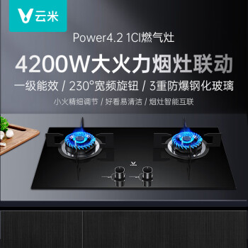 云米（VIOMI）互联网燃气灶双灶具VG203钢化玻璃面板防爆烟灶家用联动版 Power4.2 1C天然气