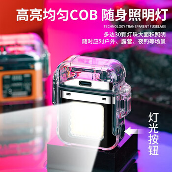 瑞兰克（RLANC）打火机充电创意点烟器防水户外防风火机 机械黑色