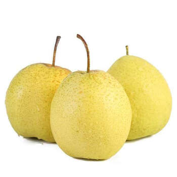 河北雪花梨正宗雪梨10斤冰糖雪梨批发整箱水果3斤5斤新鲜水果梨子精品