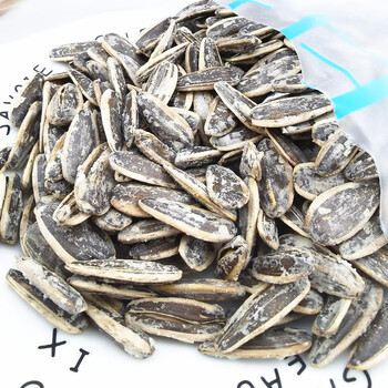 辣铺乐海盐果子瓜子葵花籽零食毛嗑皮薄肉脆小零食 海盐瓜子一袋